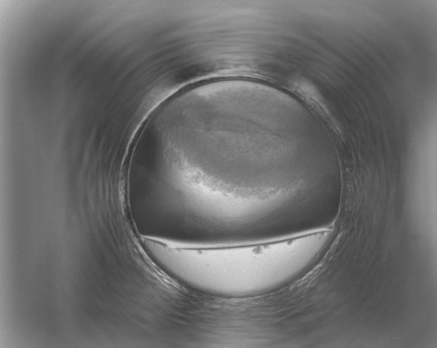 X0000060571284200511171622