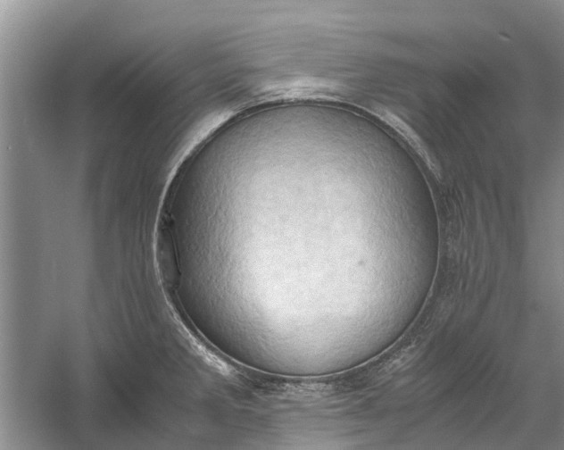 X0000060571285200511171622