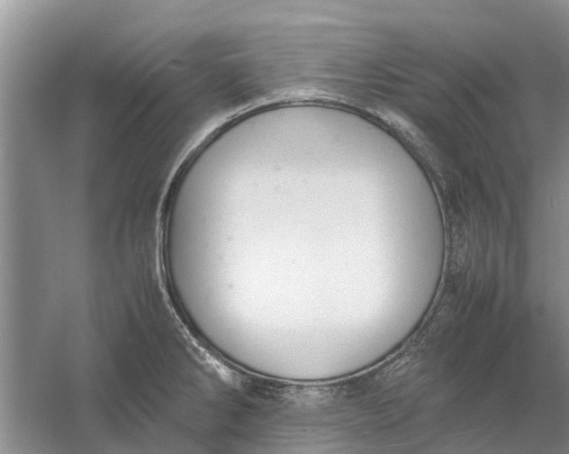 X0000060571286200511171622