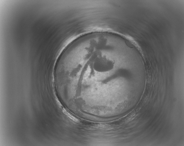 X0000060571287200511171622