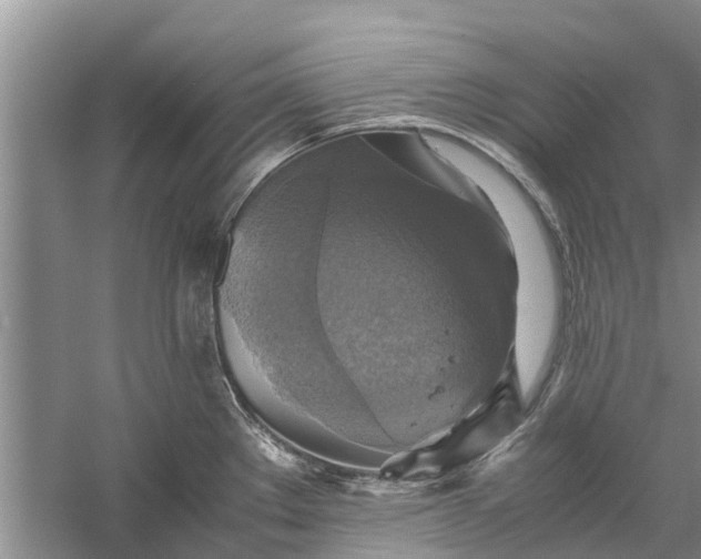 X0000060571289200511171622