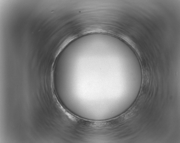 X0000060571290200511171622