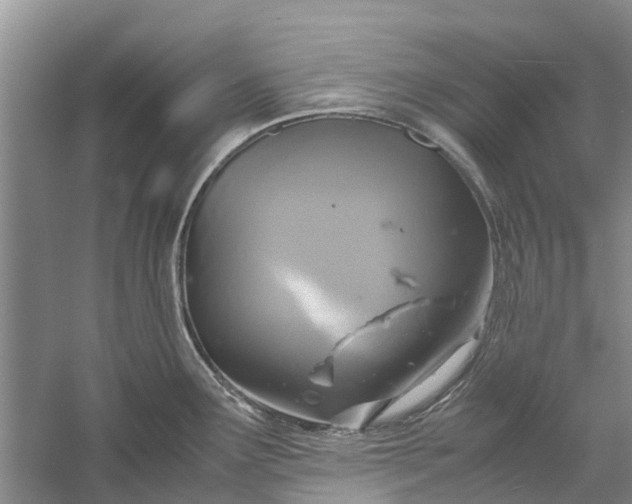 X0000060571291200511171622