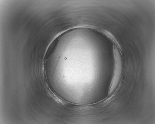 X0000060571292200511171622