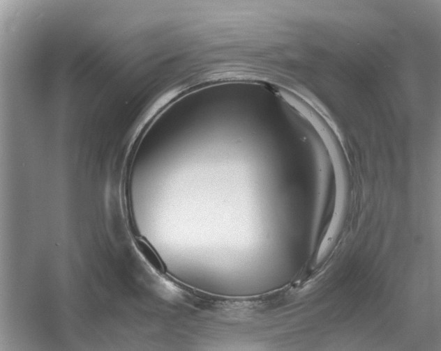 X0000060571293200511171621