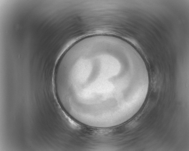 X0000060571294200511171621