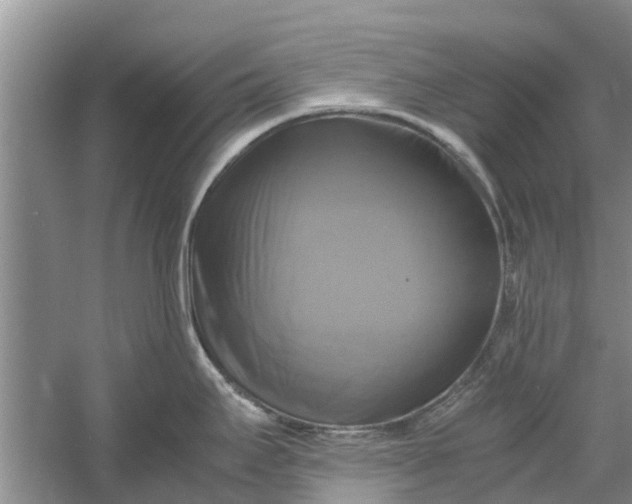 X0000060571295200511171621