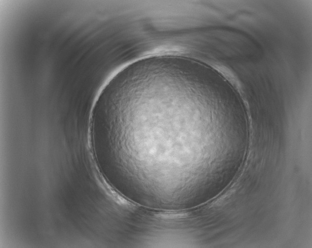 X0000060571296200511171621