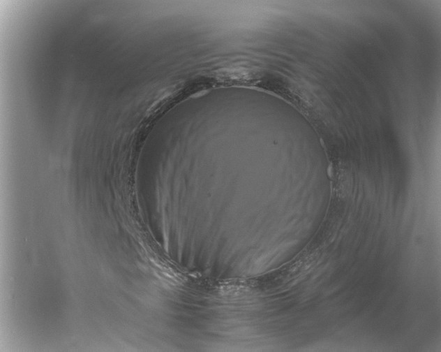 X0000060571297200511171621