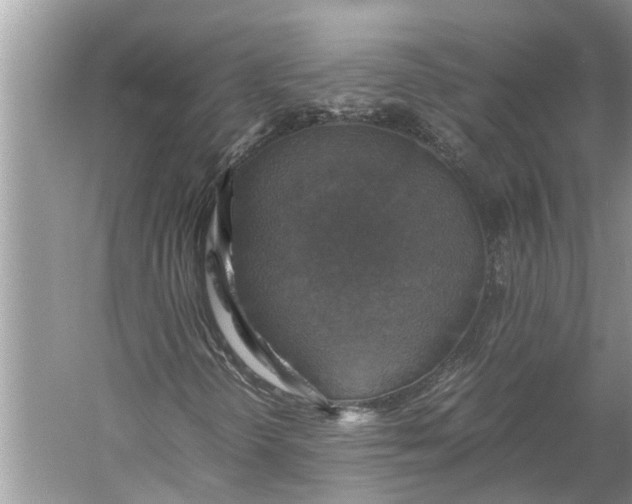 X0000060571298200511171621