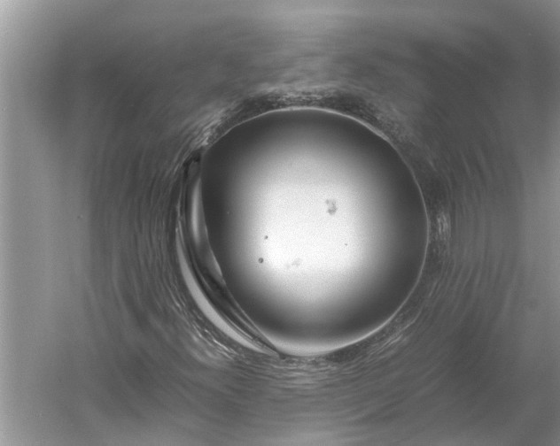 X0000060571300200511171621