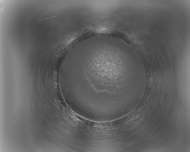 X0000060571301200511171621