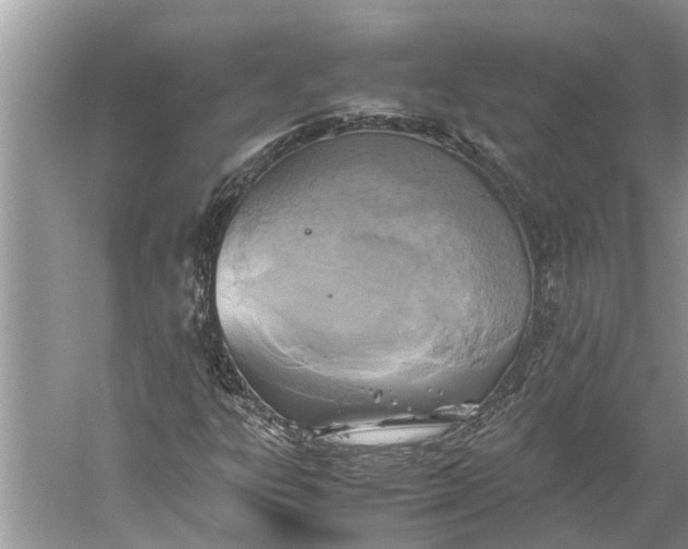 X0000060571303200511171621