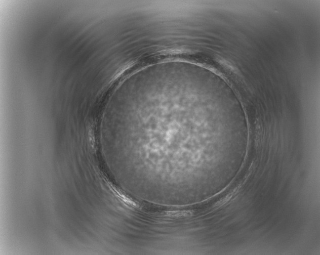 X0000060571305200511171621