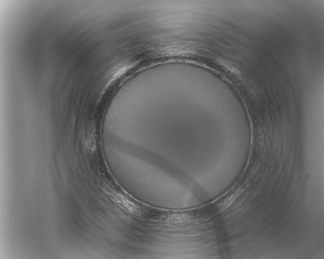 X0000060571306200511171621