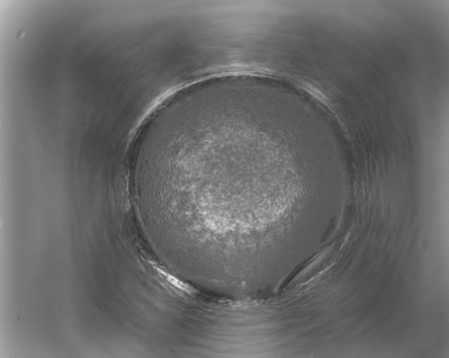 X0000060571310200511171621