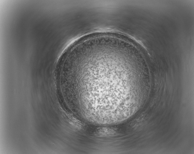 X0000060571311200511171621