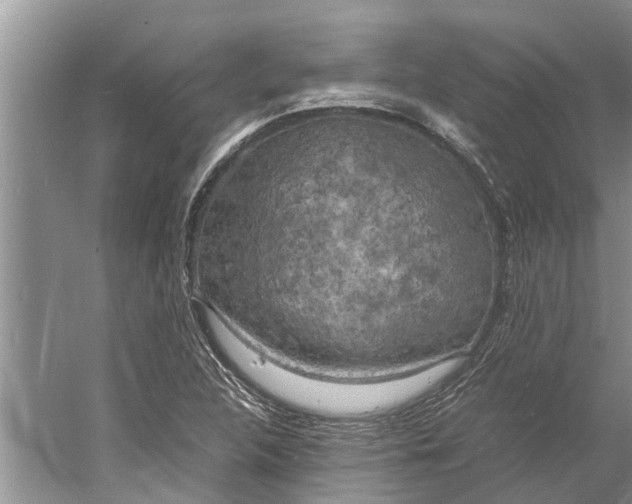 X0000060571312200511171621