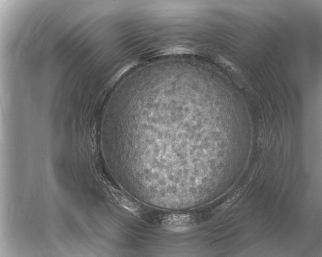 X0000060571313200511171621