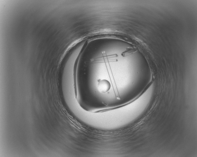 X0000060571314200511171621