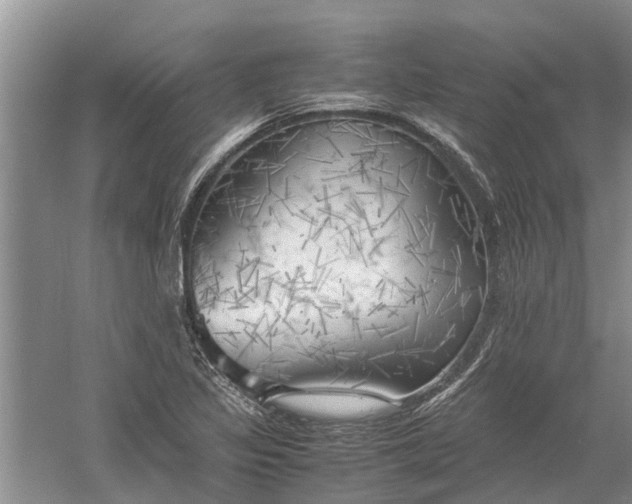 X0000060571317200511171621