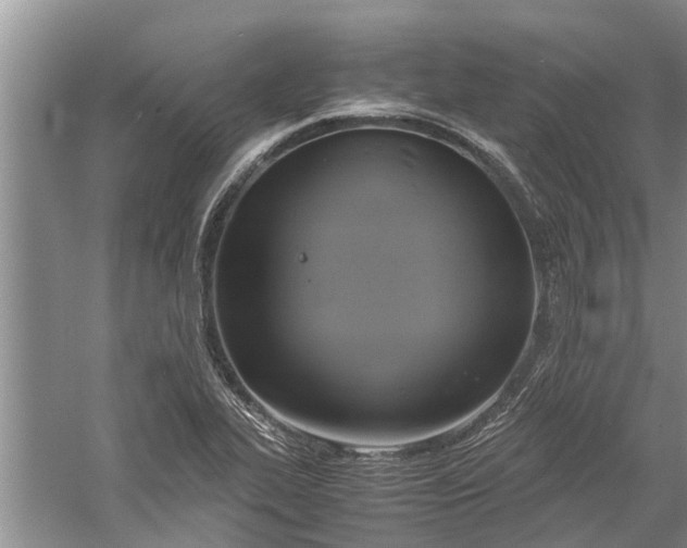 X0000060571319200511171621