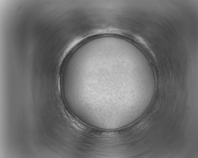 X0000060571320200511171621