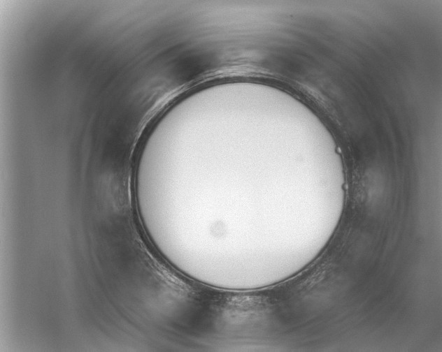 X0000060571322200511171621