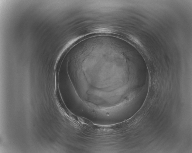 X0000060571323200511171621