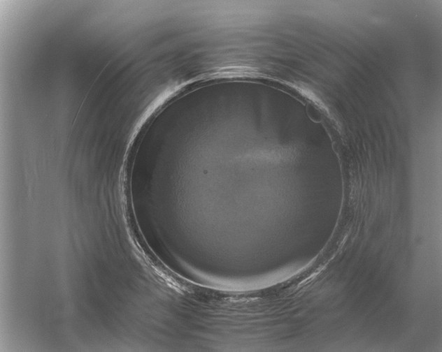 X0000060571325200511171621