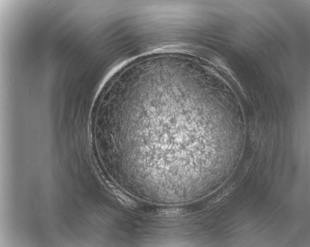 X0000060571328200511171621