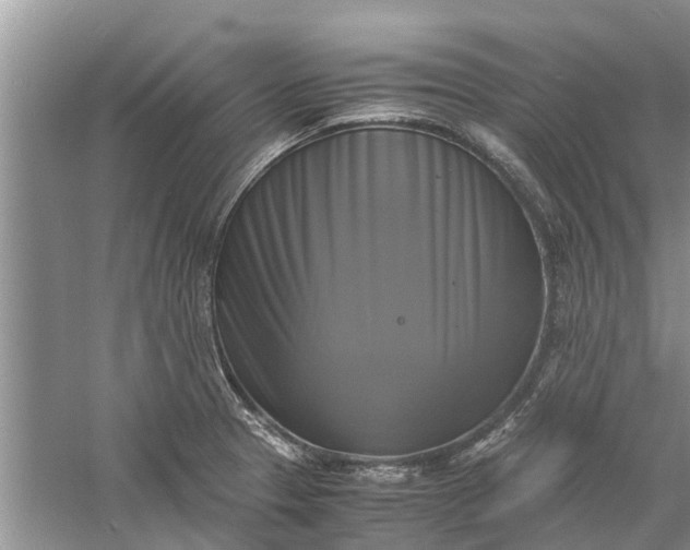 X0000060571329200511171621