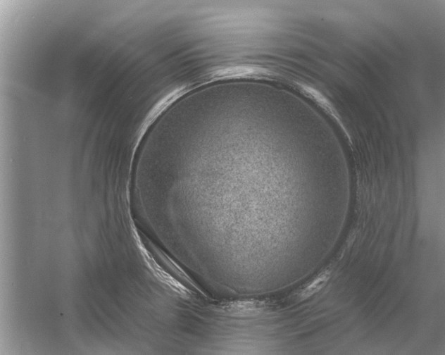 X0000060571330200511171621