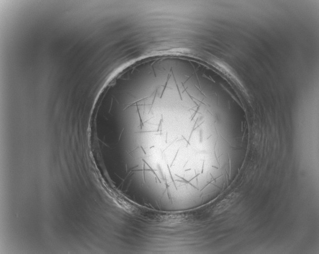 X0000060571332200511171621