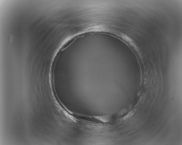 X0000060571334200511171621