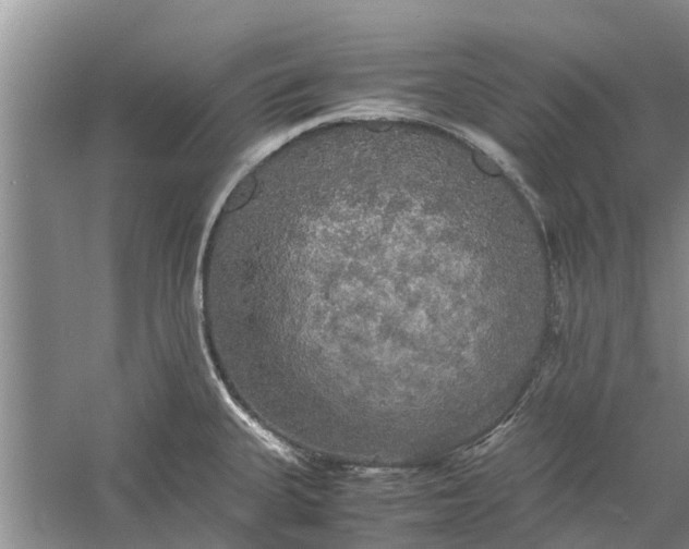 X0000060571335200511171621