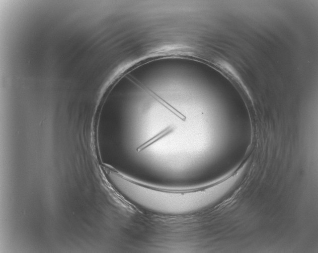 X0000060571336200511171621