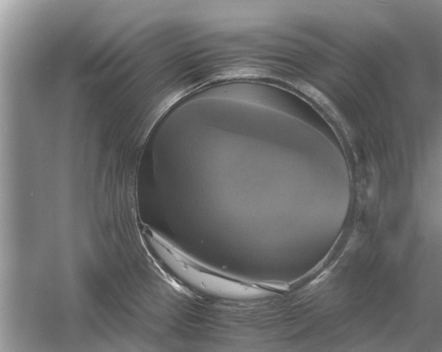 X0000060571337200511171621