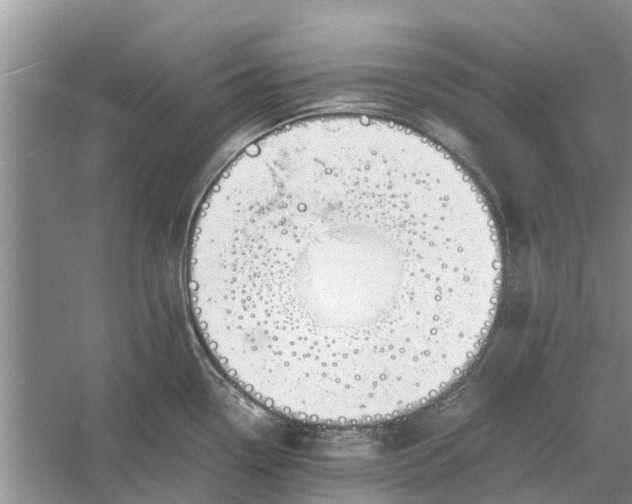 X0000060571338200511171621