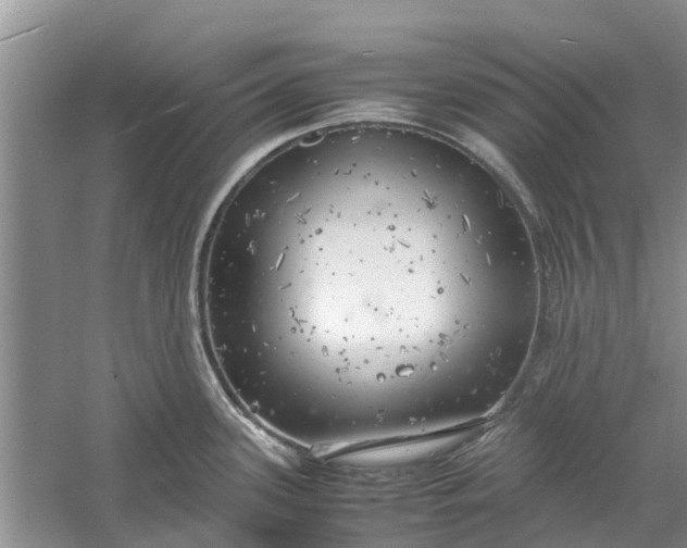 X0000060571339200511171621