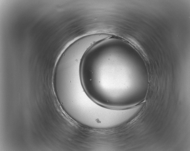 X0000060571340200511171621