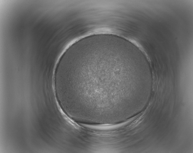 X0000060571342200511171621