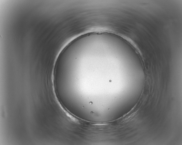 X0000060571343200511171621