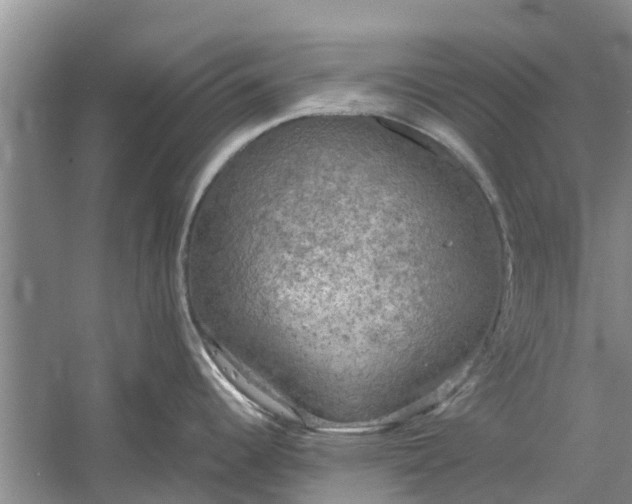 X0000060571344200511171621