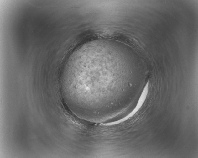 X0000060571345200511171621