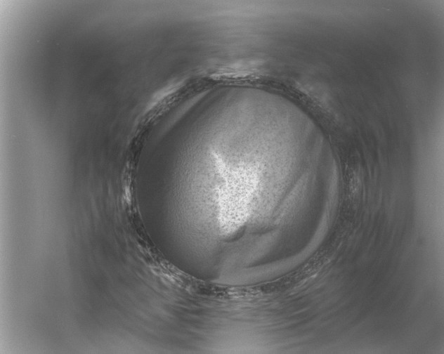 X0000060571350200511171621