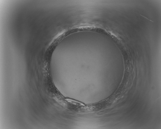 X0000060571351200511171621