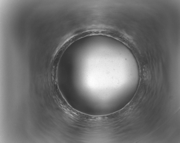 X0000060571352200511171620