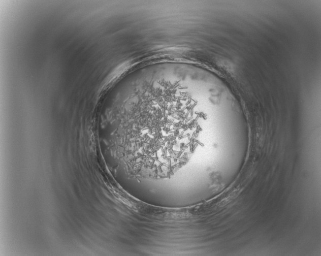 X0000060571354200511171620