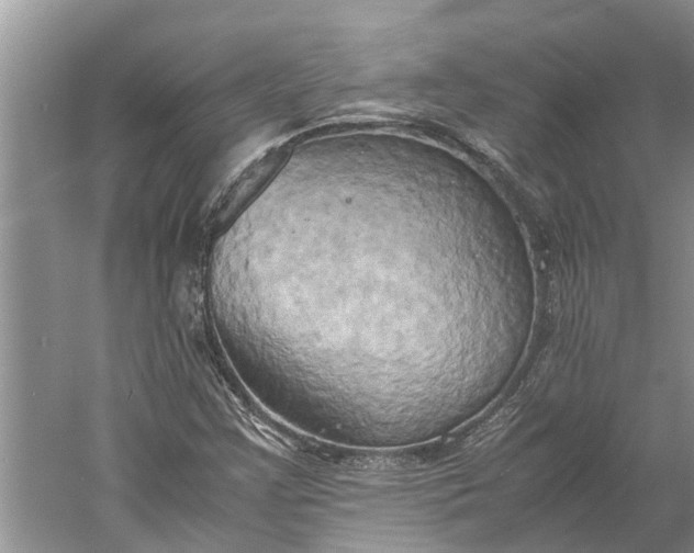 X0000060571355200511171620